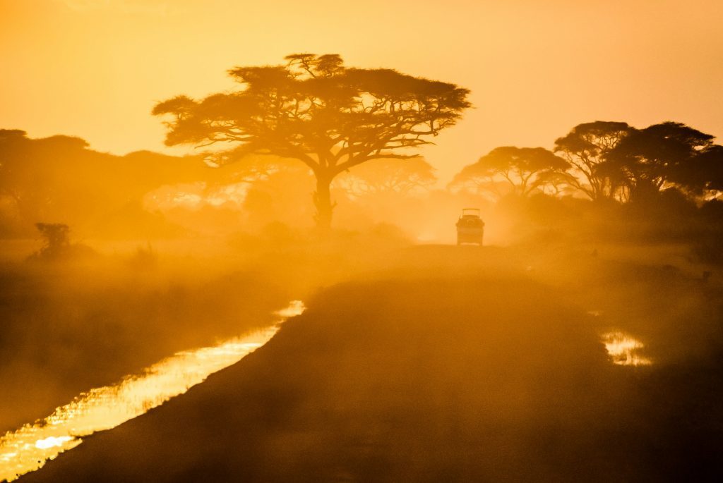 johannesburg car rental
